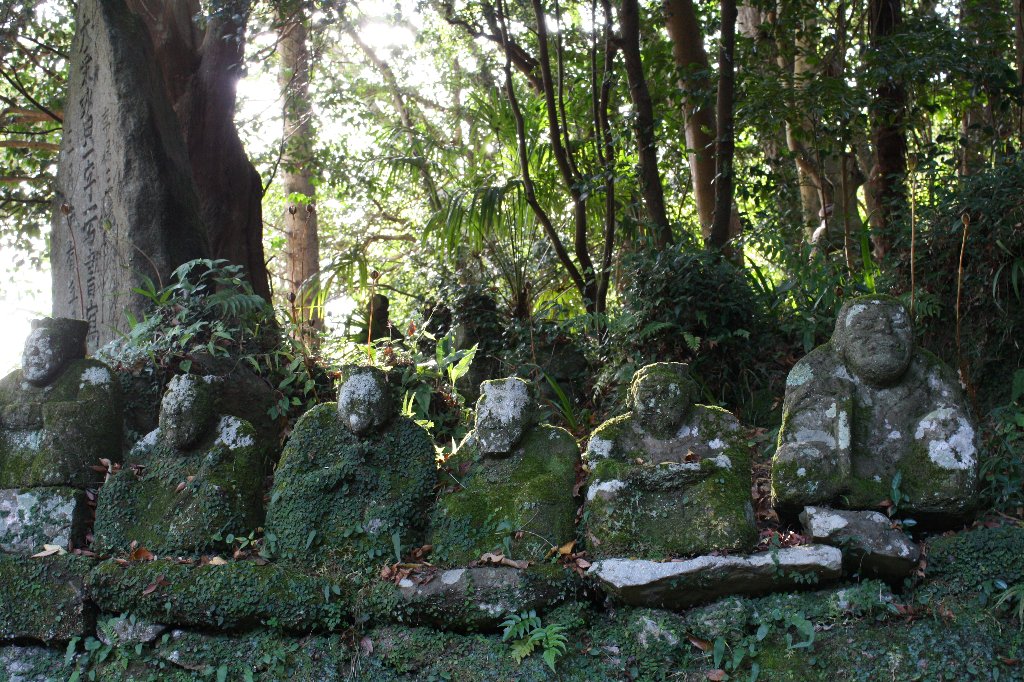 年寄り連中