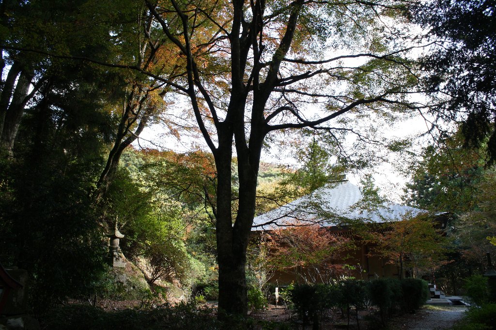 両子寺大講堂