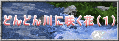 ǂǂɍ炭ԁiPj 