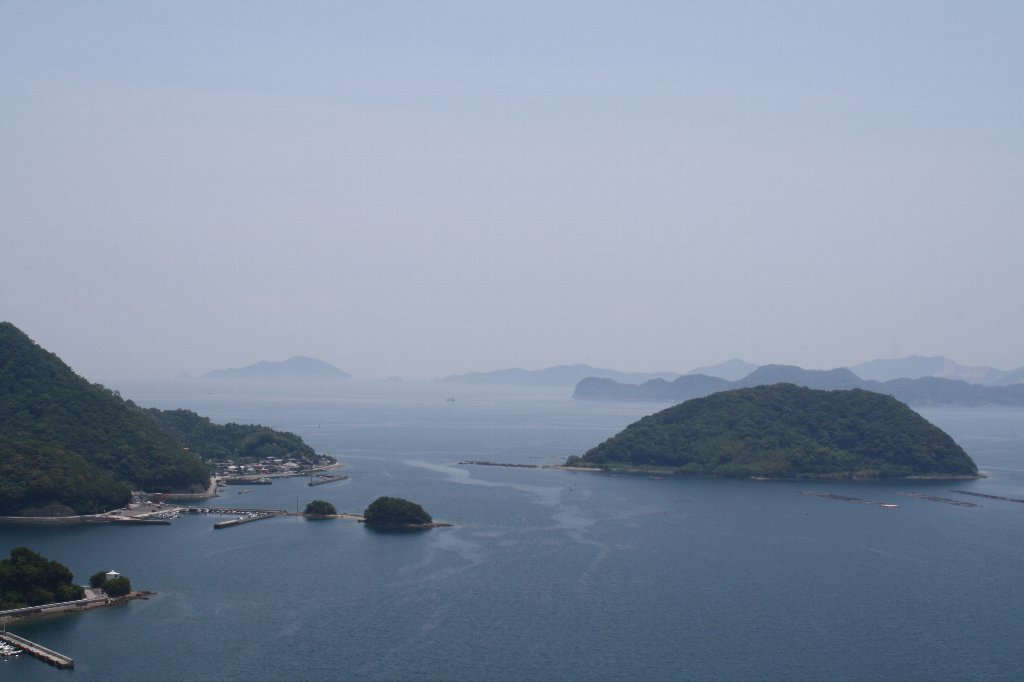 津久見8