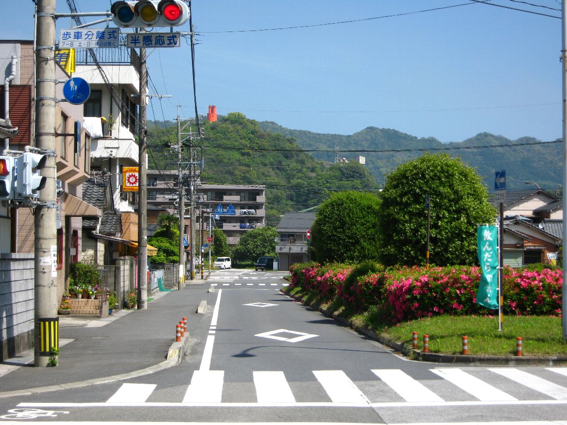 躑躅・北向き