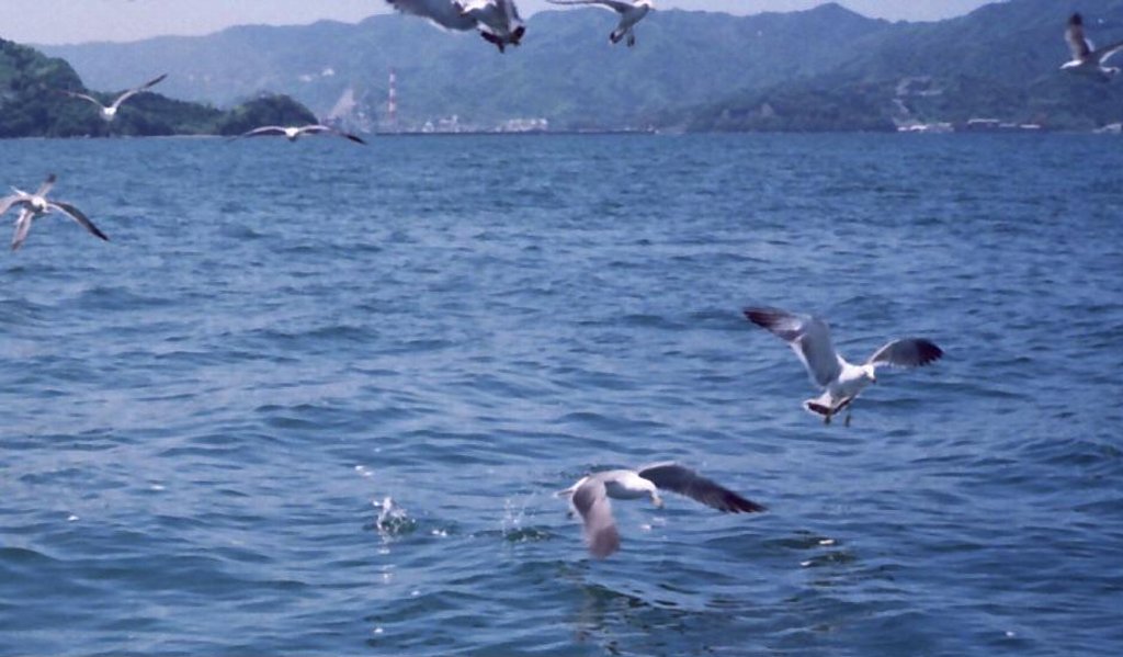 1993・酉年