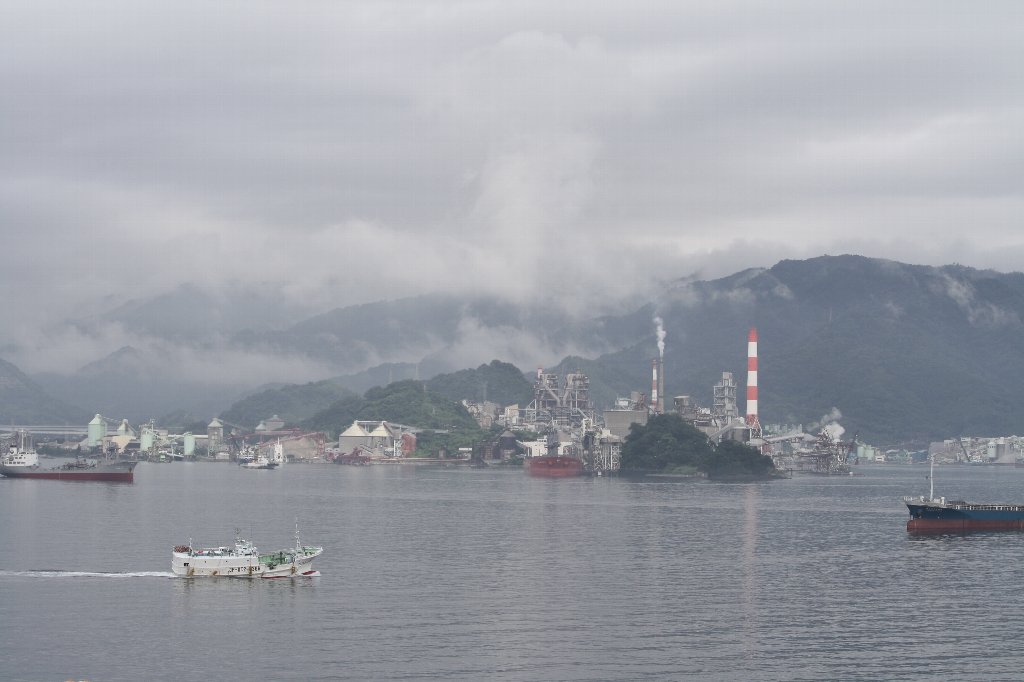 朝霧1