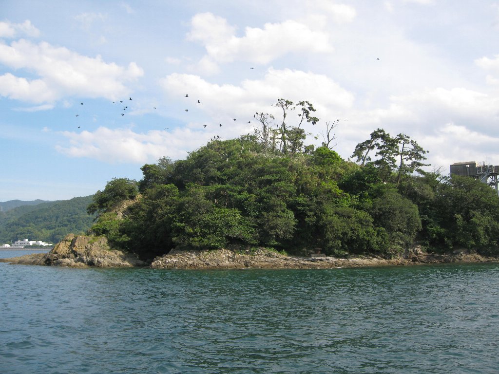 箆島