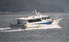 カメリア☆スター