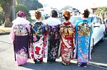 120108347.jpg
